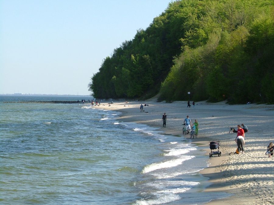 zdjęcie przedstawia ludzi na plaży przy brzegu morza